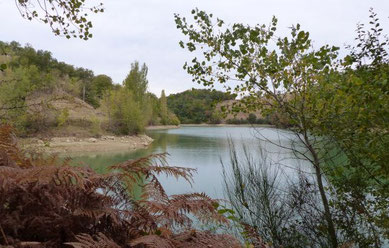 loisirs-nature-détente-pique-nique-famille-forêt-buzet-tarn