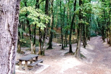 loisirs-nature-détente-pique-nique-famille-forêt-buzet-tarn